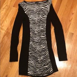 Express Sweater Dress